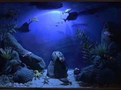 86b3a67025095aab78916027f79ebf6e_78882b2b26e648262518d8eac1ae53e0